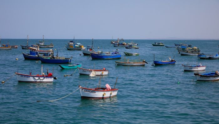 3 créditos norte