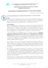 Vista preliminar de documento Resolución Gerencial N° 096-2024-GM/MDPN