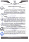 Vista preliminar de documento rgm523