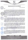 Vista preliminar de documento rgm525