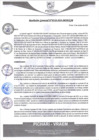 Vista preliminar de documento rgm528