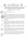 Vista preliminar de documento DA-011-2024-MPJA