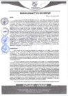 Vista preliminar de documento rgm531