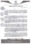 Vista preliminar de documento rgm533