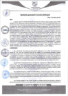 Vista preliminar de documento rgm536