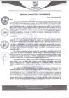 Vista preliminar de documento rgm541