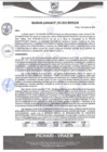 Vista preliminar de documento rgm543