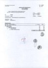 Vista preliminar de documento RER 509-2024-GOB_PARTE II