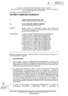 Vista preliminar de documento INFORME-000620-2024-OAJ LEGAL