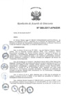 Vista preliminar de documento N°080-2017-APN-DIR