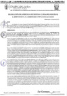 Vista preliminar de documento RGM-916-2024