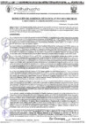 Vista preliminar de documento RGM-919-2024