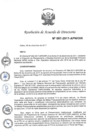 Vista preliminar de documento N°097-2017-APN-DIR