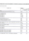Vista preliminar de documento MODIFICACION165-2024-CMN