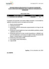 Vista preliminar de documento Resultado final