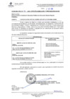 Vista preliminar de documento CAPA