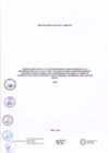 Vista preliminar de documento ETAPA DE REZAGADOS