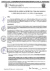 Vista preliminar de documento RGM-943-2024