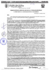 Vista preliminar de documento RGM-946-2024