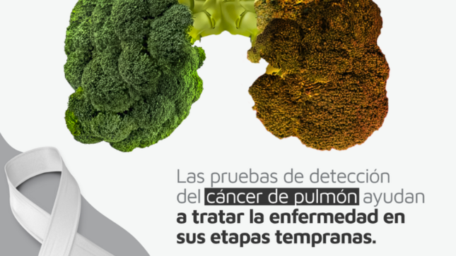 pulmon