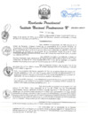 Vista preliminar de documento RP 258-2024