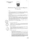 Vista preliminar de documento RGGR 526-2024