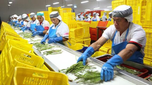 Gobierno: Agroexportaciones peruanas lograron ventas por más de US$ 6,700 millones