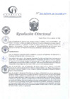Vista preliminar de documento RD N°316-10-2024-DE-HCLLH-MINSA