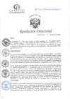 Vista preliminar de documento RD N°329-10-2014-DE-HCLLH-MINSA