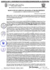 Vista preliminar de documento RGM-966-2024