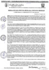 Vista preliminar de documento RGM-970-2024