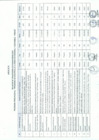 Vista preliminar de documento Anexo N° 132-2015-DV-PE