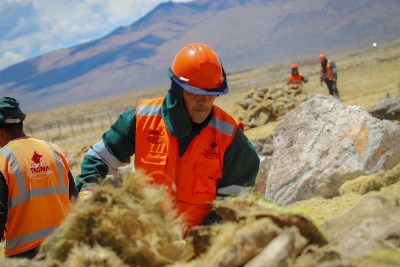 GORE Tacna lidera la construcción de Qochas para la zona altoandina