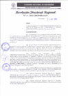 Vista preliminar de documento RDR 324-2024