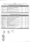 Vista preliminar de documento Anexo  N° 134-2015-DV-PE