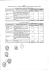 Vista preliminar de documento Anexo N° 135-2015-DV-PE