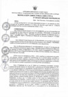 Vista preliminar de documento RDE Nº  128-2024.PLAN ANUAL DE CONTRATACIONES VERSION 11