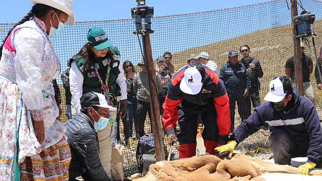 chaccu arequipa