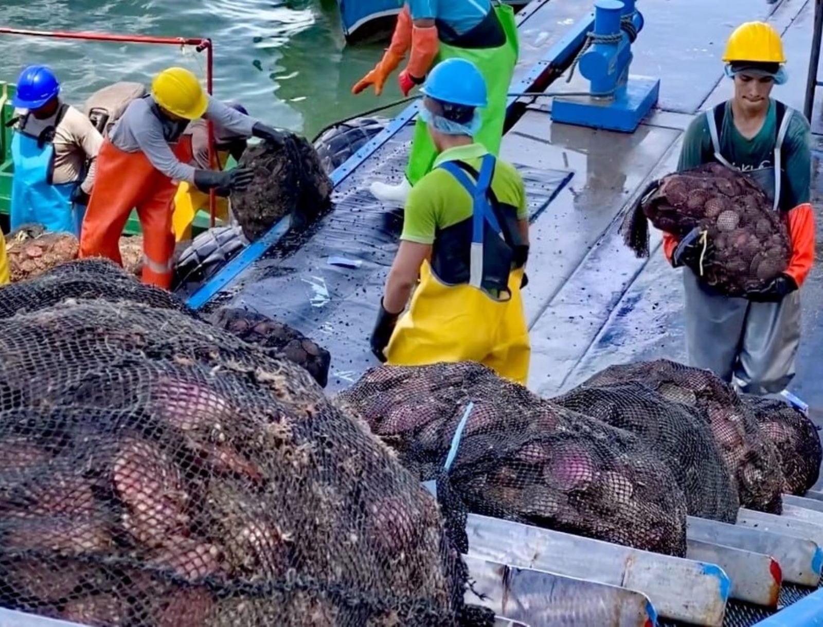 Gobierno Regional logra que Produce emita norma para fortalecer actividad acuícola en la bahía de Sechura