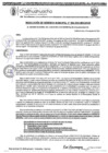 Vista preliminar de documento RGM-984-2024