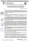 Vista preliminar de documento RGM-989-2024