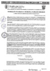 Vista preliminar de documento RGM-992-2024