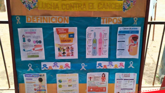 RIS Chilca Mala brinda sesiones de consejería en prevención del cáncer de mama 
