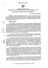 Vista preliminar de documento RD Nº236