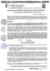 Vista preliminar de documento RGM-1002-2024