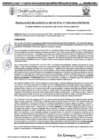 Vista preliminar de documento RGM-1003-2024
