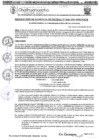 Vista preliminar de documento RGM-1006-2024