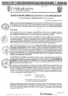Vista preliminar de documento RGM-1011-2024