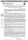 Vista preliminar de documento RGM-1012-2024