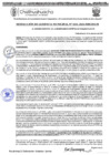 Vista preliminar de documento RGM-1016-2024